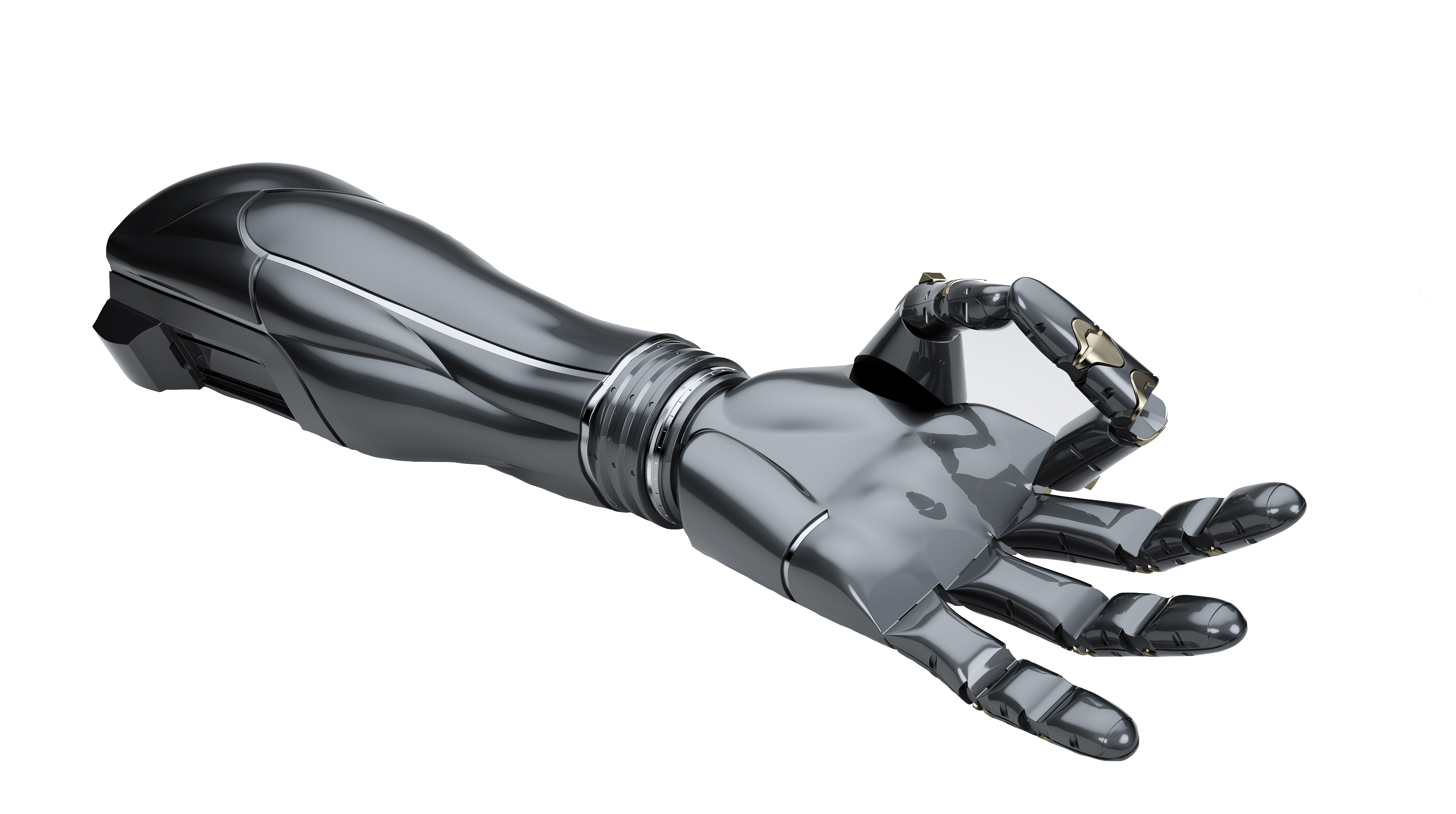 A Bionic Hand