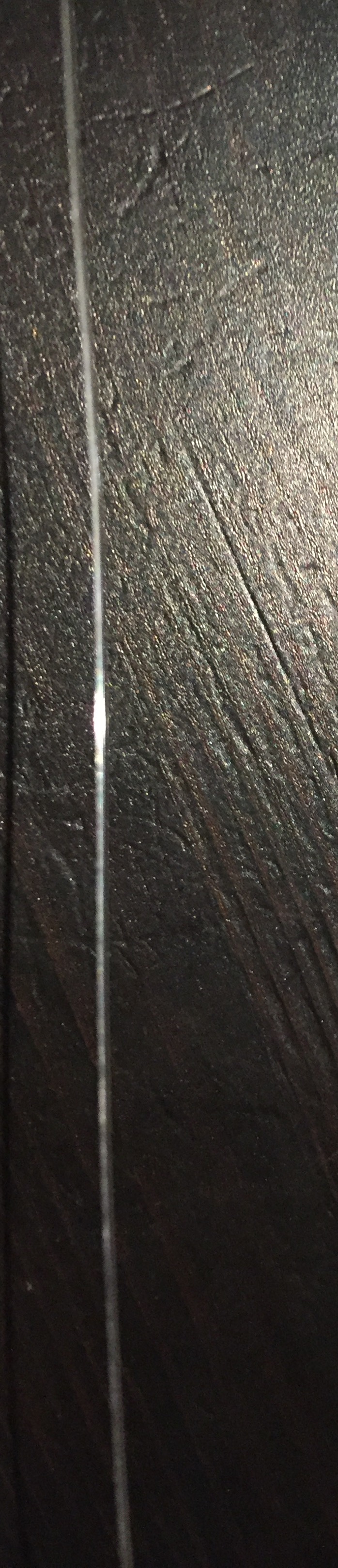 Fishing Wire